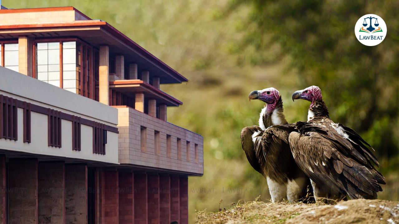 “Will file a detailed affidavit”: Centre tells Delhi High Court in Plea Raising Issue of Decline in Population of Vultures “Will file a detailed affidavit”: Centre tells Delhi High Court in Plea Raising Issue of Decline in Population of Vultures
